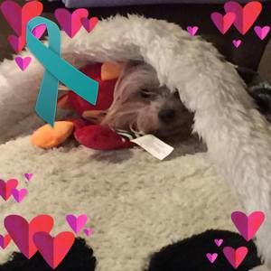 Meet your Posher, Theresa